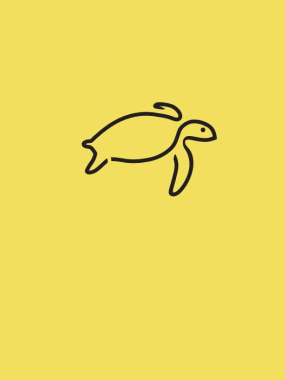 tattoow-plantilla-amarilla-2coleccoin tattoow-plantilla-amarilla-2coleccoin